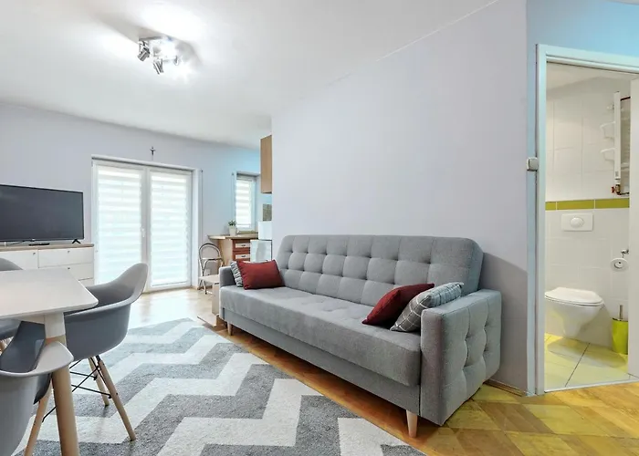 Silver - Acco Rent סופוט