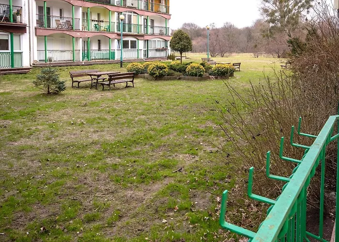 Silver - Acco Rent * סופוט